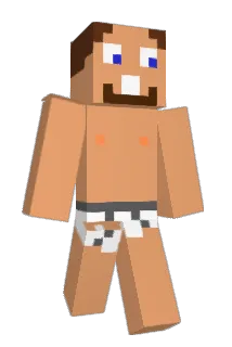 wildflint Minecraft avatar full body