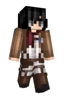 wildflxwerr Minecraft avatar full body