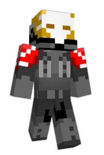wildian Minecraft avatar full body