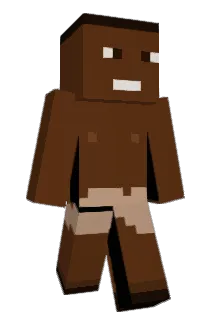 wildrice11 Minecraft avatar full body