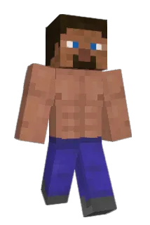 wildseira Minecraft avatar full body