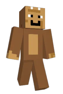 Minecraft-Avatar von will2578: ganzer Körper
