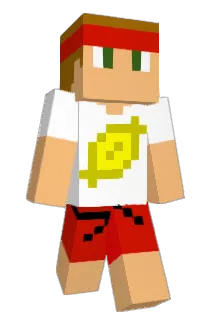 willhassomefear Minecraft avatar full body