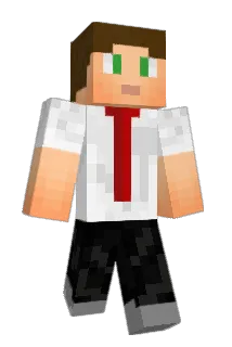 williada Minecraft avatar full body
