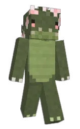 Custom render preview