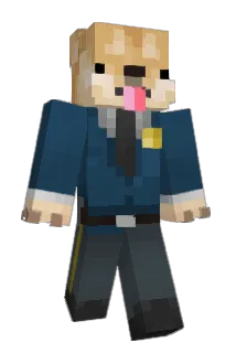 willowyWall3 Minecraft avatar full body