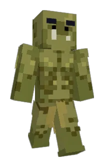 wilmersway Minecraft avatar full body