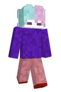 winabees Minecraft avatar full body