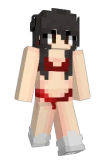 windOFmind Minecraft avatar full body