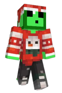 windelbombeer1 Minecraft avatar full body