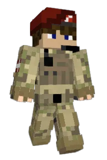 window_washer88 Minecraft avatar full body