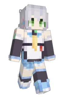 windwinder Minecraft avatar full body