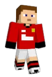 wing1228 Minecraft avatar full body
