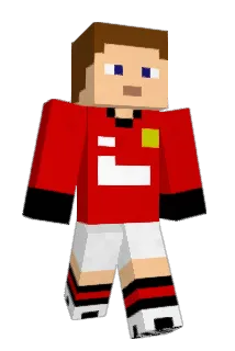 wing1228 Minecraft avatar full body