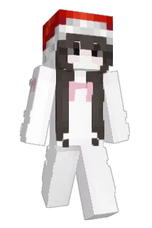 wingball Minecraft avatar full body
