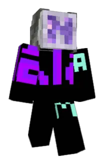 winni_001 Minecraft avatar full body