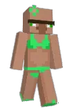 wintintin Minecraft avatar full body