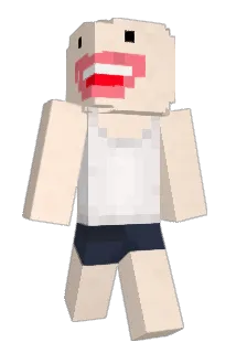 winwinyi Minecraft avatar full body