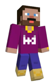 wisdomgg Minecraft avatar full body