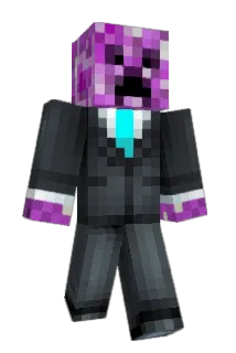 wisebroke Minecraft avatar full body