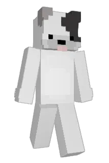 wiserain0427 Minecraft avatar full body