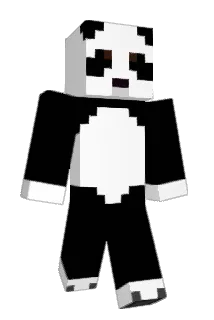 wit123jk Minecraft avatar full body