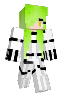 witchei Minecraft avatar full body