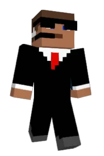 witek360 Minecraft avatar full body