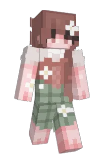 witekaco Minecraft avatar full body