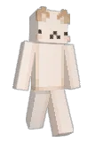 with Minecraft avatar full body