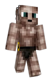 witily Minecraft avatar full body