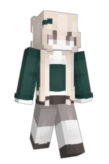 witly Minecraft avatar full body
