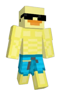 wittedewit Minecraft avatar full body