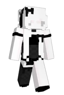 wittl Minecraft avatar full body