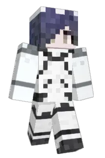 wjh40 Minecraft avatar full body