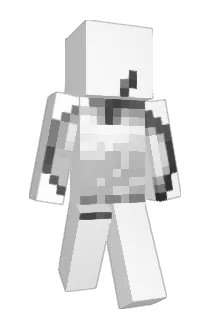 wjjr07 Minecraft avatar full body