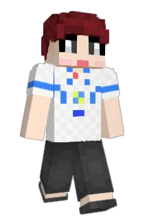 wjswoals_ Minecraft avatar full body