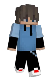 wjx00 Minecraft avatar full body