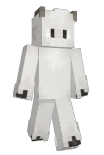 wless Minecraft avatar full body