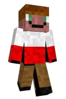 wloant Minecraft avatar full body