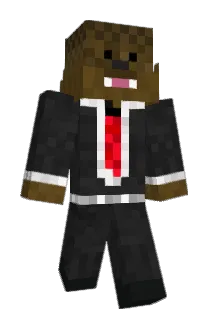 wmeier1123 Minecraft avatar full body