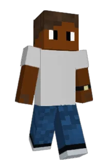wnlt Minecraft avatar full body