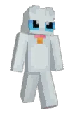 wnmb Minecraft avatar full body