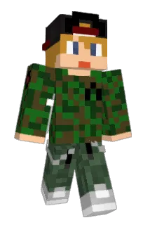 wnn Minecraft avatar full body
