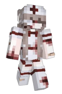 wnzk Minecraft avatar full body