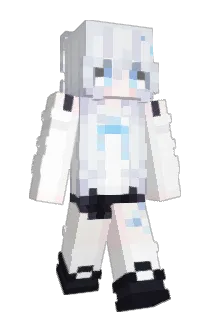 woco1 Minecraft avatar full body