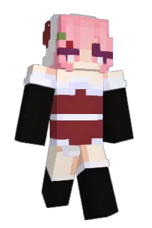 wojo_25PL Minecraft avatar full body