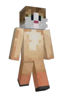 wojtekojtek Minecraft avatar full body