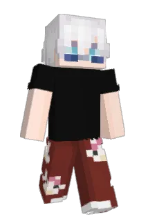 wojtekw732 Minecraft avatar full body