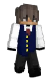 wojtqs Minecraft avatar full body